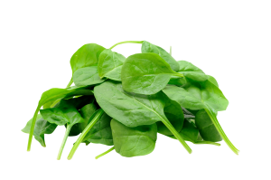 Spinach PNG-79154